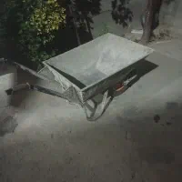 فرغون