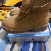 یک عددبوت اصل