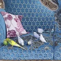 مرغ عشق دستی مولد
