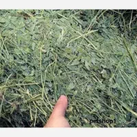 یونجه خشک دست چین