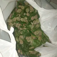چغاله بادام