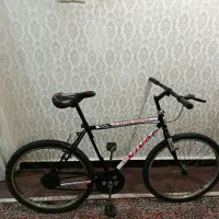 دوچرخه 24