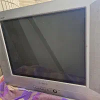 تلوزیون