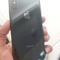 x 256