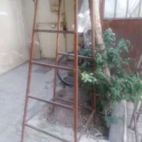 چهارپایه