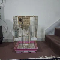 قفس بزرک