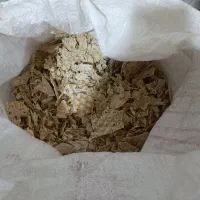 نون خشک