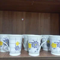 گل پنبه