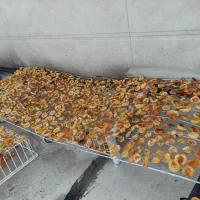 برگه زردآلو