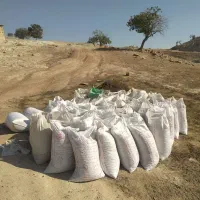 کود گوسفندی خالص پوسیده تحویل کار رایگان