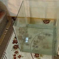 یک عدد اکواریوم