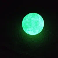شب چراغ یا شب نما