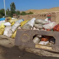 سیب۲ضایعات