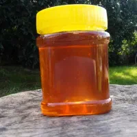 عسل|خوردنی و آشامیدنی|زاهدان, |دیوار