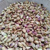 مغز پسته اعلای کرمانی دست شکن