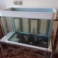 اکواریوم شیشه خم ۸میل