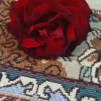 شاخه گل