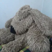 عروسک خرسی