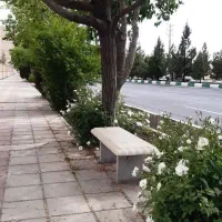 انجام خدمات باغبانی