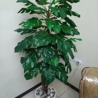 درختچه مصنوعی نو