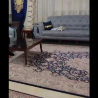 پرده و پشتی