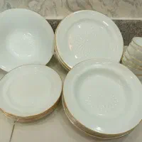 آکروپال اقتصادی لب طلایی