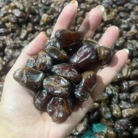 خرمای کبکاب درجه یک بسته بندی شده کیلویی 300