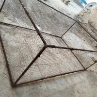 کفتر‌‌|لوازم جانبی حیوانات|خواف, |دیوار