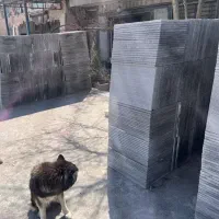 سنگ مناسب حیاط و باغ