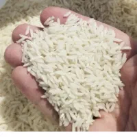 برنج طارم هاشمی درجه یک