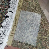 فرش نو|فرش|زرند, |دیوار