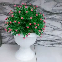 گل زیبا