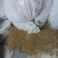 خوزستان شهرسوسنگرد