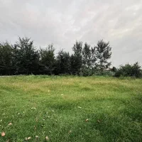 زمین مسکونی سراوان گیلان