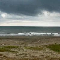 مشاورکت در ساخت