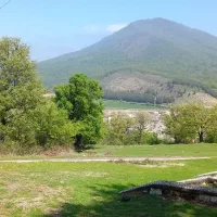 زمین