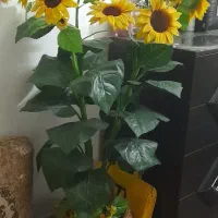 گل آفتاب گردان مصنوعی
