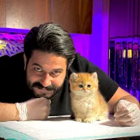 دنیای گربه های اسکاتیش و بریتیش