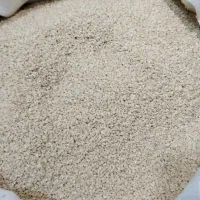 فروش کنجد سفید