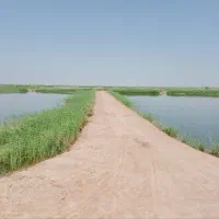 مشارکت-یا-اجاره-پرورش-ماهی-شهید-احمدیان-فاز2
