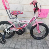 دوچرخه سایز ۱۶ دخملونه