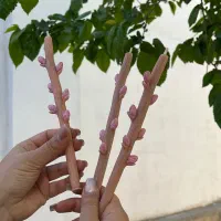 شمع شکوفه بهاری