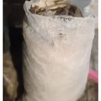 نان خشک گونی 300