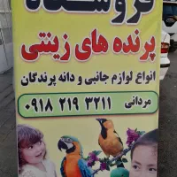 پرنده فروشی و دان و لوازم پرنده