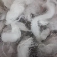 پشم گوسفندی شسته شده با کیفیت عالی