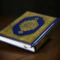 بازگشت تضمینی