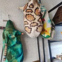 نی انبان