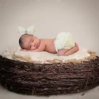 مجله عکس آنلاین یک عکس هدیه برای شما درنظر گرفته