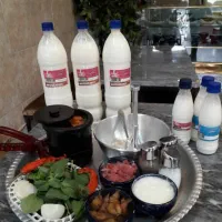 دوغ وکشک محلی گوسفندی ارگانیک تازه وخوش مزه