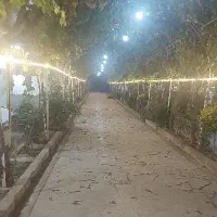 آشپز تخته کار حرفه ای